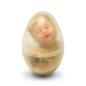 Preview: ANNE GEDDES Baby Puppe Bär karamell im Glitzerei -23cm-